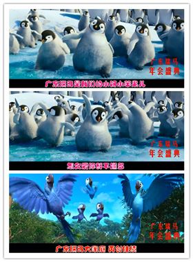 廣東瑞馬壁掛爐2014年度答謝盛典 &mdash;&mdash;萌萌噠&ldquo;小戰(zhàn)馬&rdquo;日記6